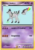 Colory ( husky