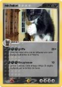 michaton