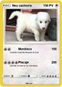 Neu cachorra
