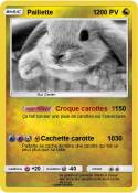 Paillette 1