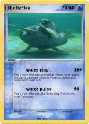 I like turtles