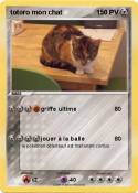 totoro mon chat