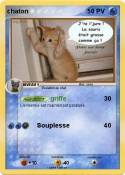 chaton