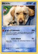 Macachu