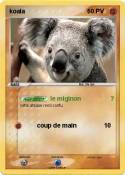 koala