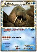 Walrus