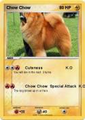 Chow Chow