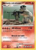 Marmotte