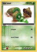 kiwi souri