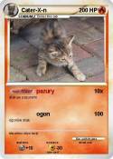 Cater-X-n
