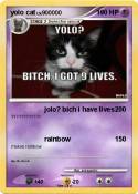 yolo cat