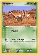Pronghorn