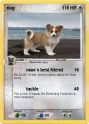 dog