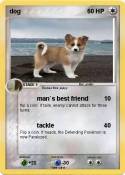 dog