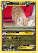 The cat