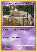 dogo canario