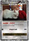 shadow cat