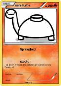 mine turtle