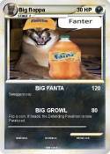 Big floppa