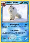 Renard Polaire
