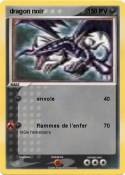 dragon noir 