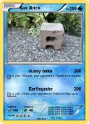 Sus Brick