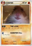 HAMSTER