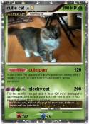 cutie cat