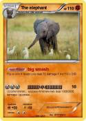The elephant