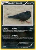 CZARNY GOŁĄB