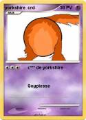 yorkshire crd