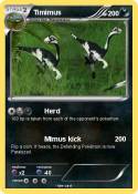 Timimus