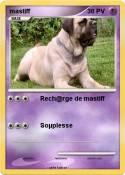 mastiff
