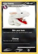 Killer bunny