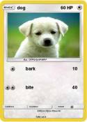 dog