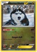 Siberian Husky