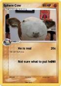 Sphere Cow
