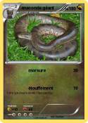 anaconda géant