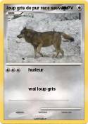 loup gris de