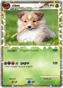 chien