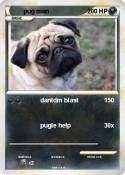 pug man