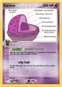 Nucleus