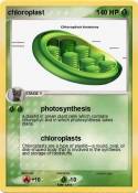 chloroplast