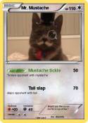Mr. Mustache