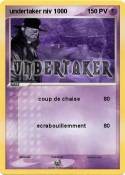 undertaker niv