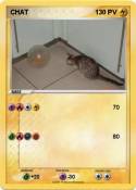 CHAT