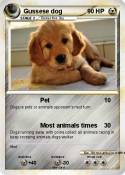 Gussese dog