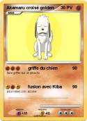 Akamaru croisé