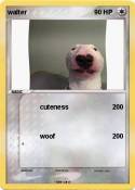 walter