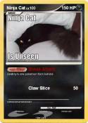 Ninja Cat